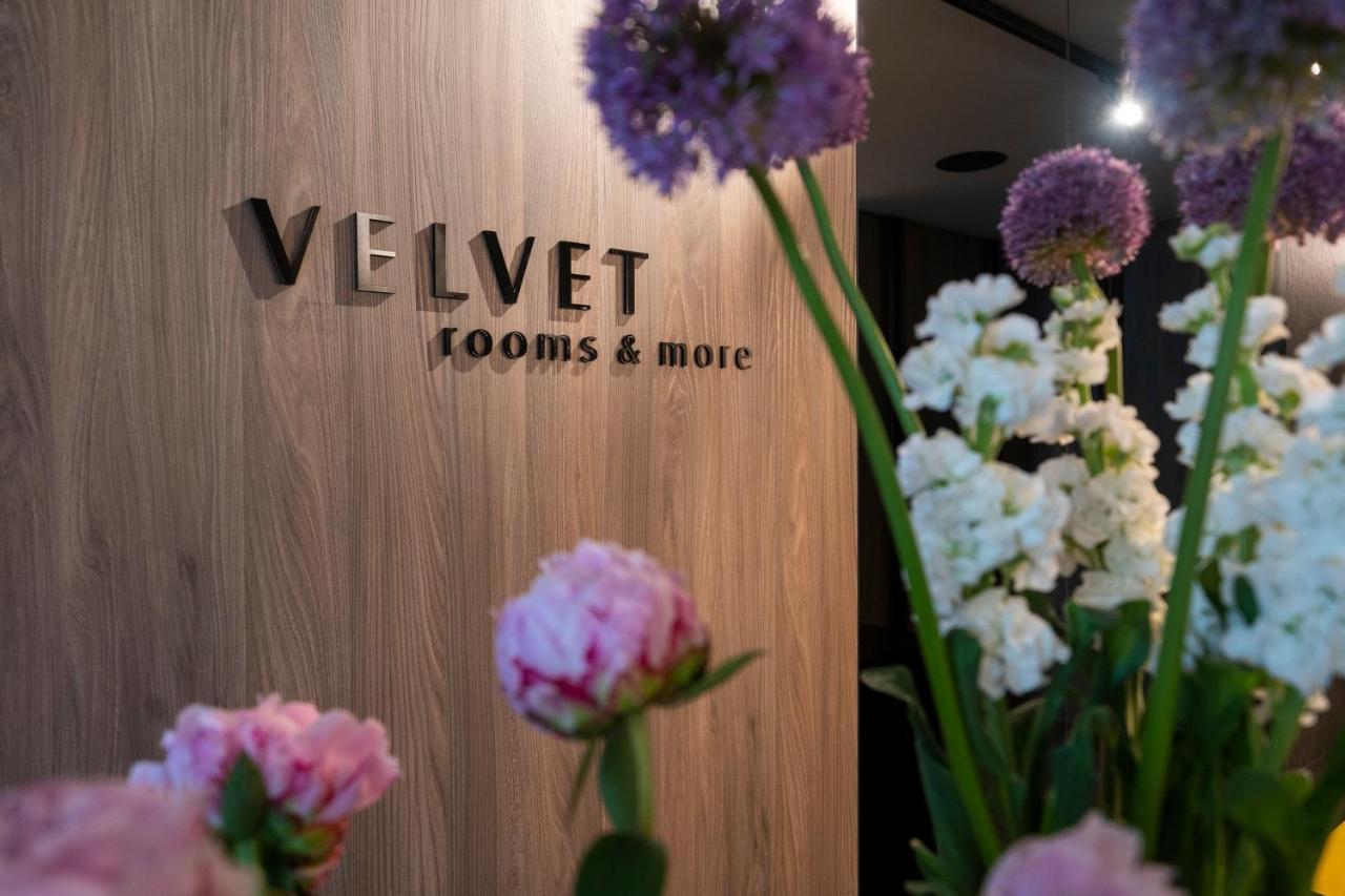 Velvet Rooms & More زادار المظهر الخارجي الصورة